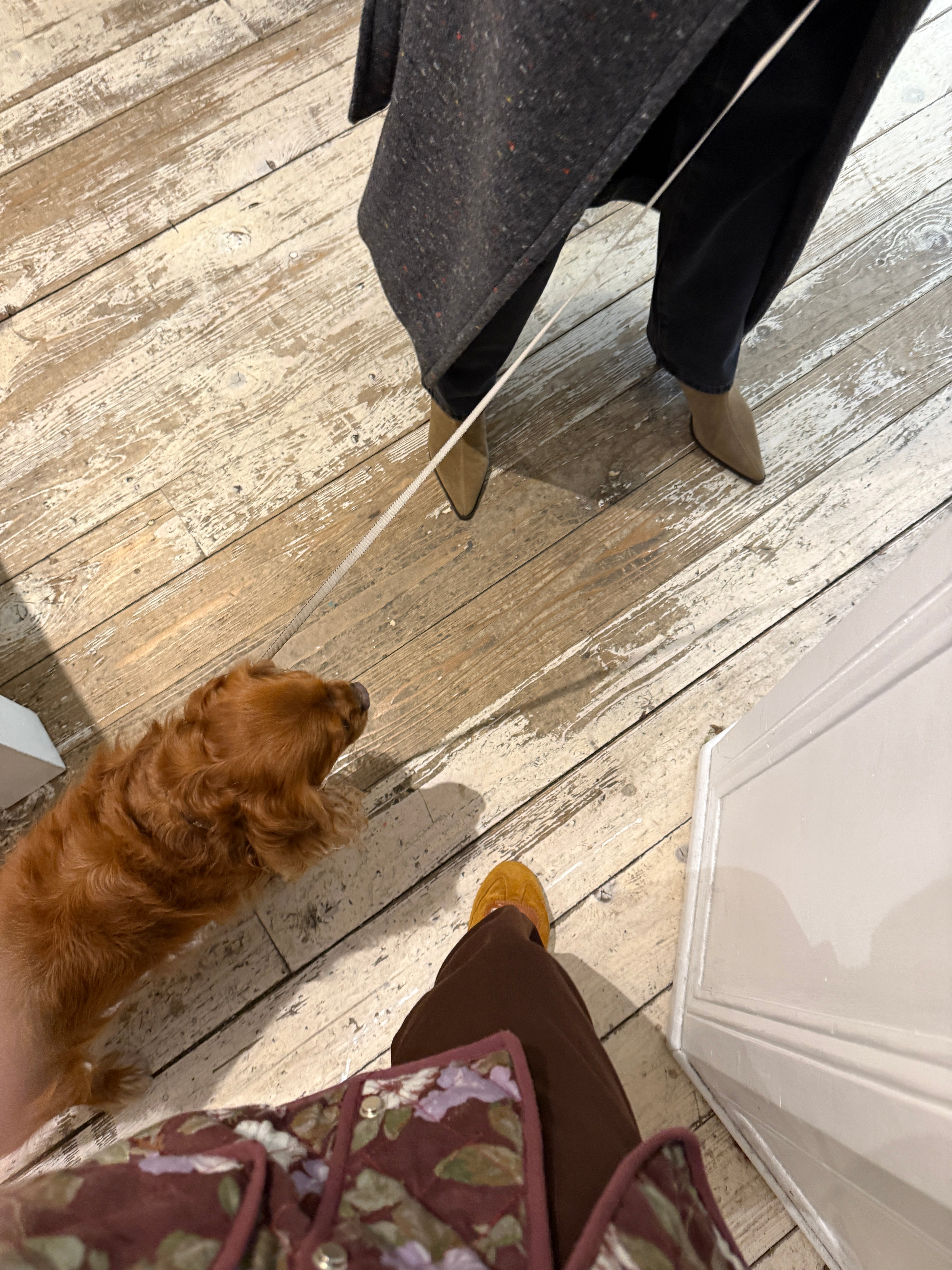 The Tawny Fleece FUCHSIA SHAW