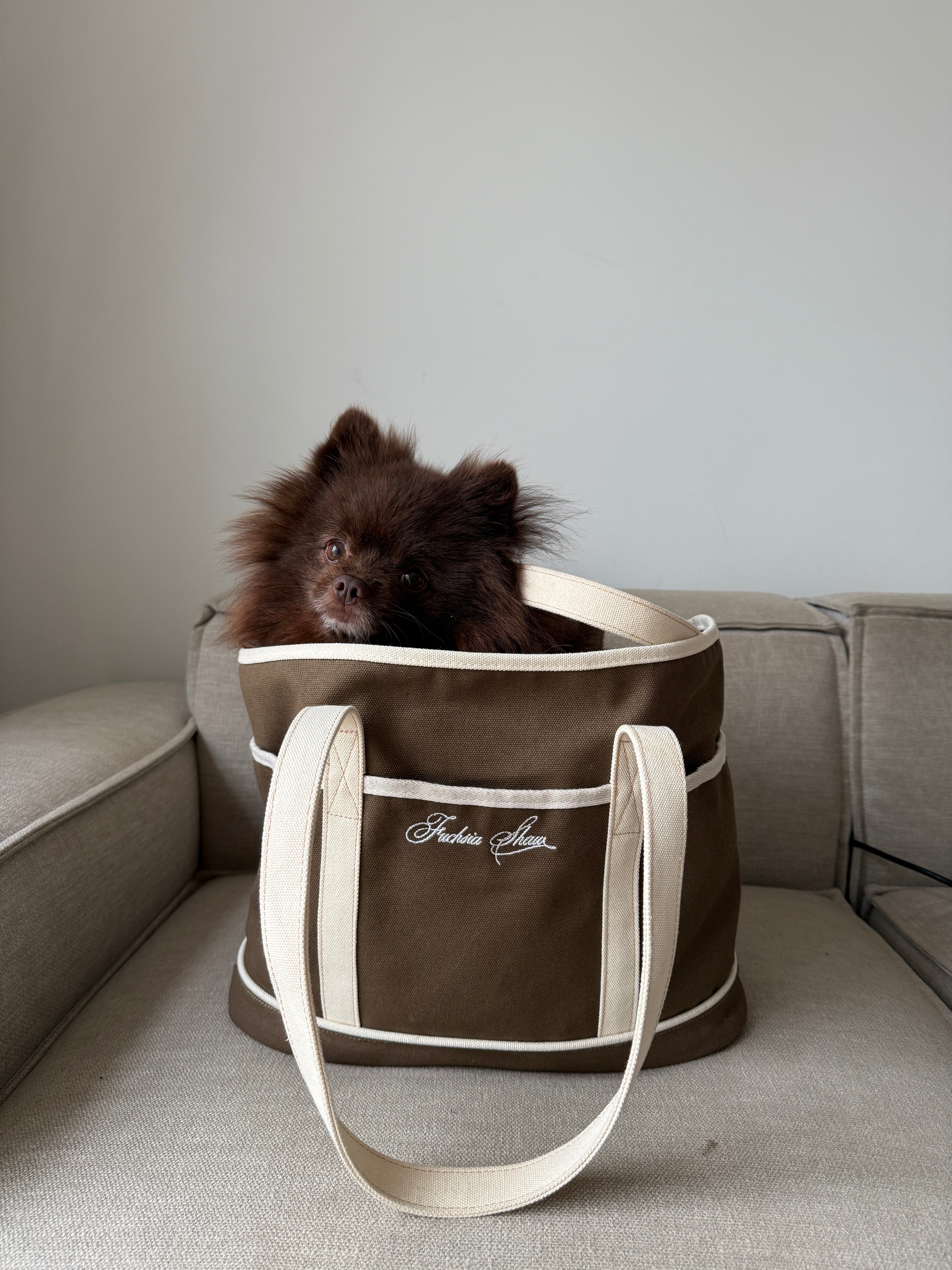 A mocha brown and cream white bag with a brown Pomeranian on a grey sofa 