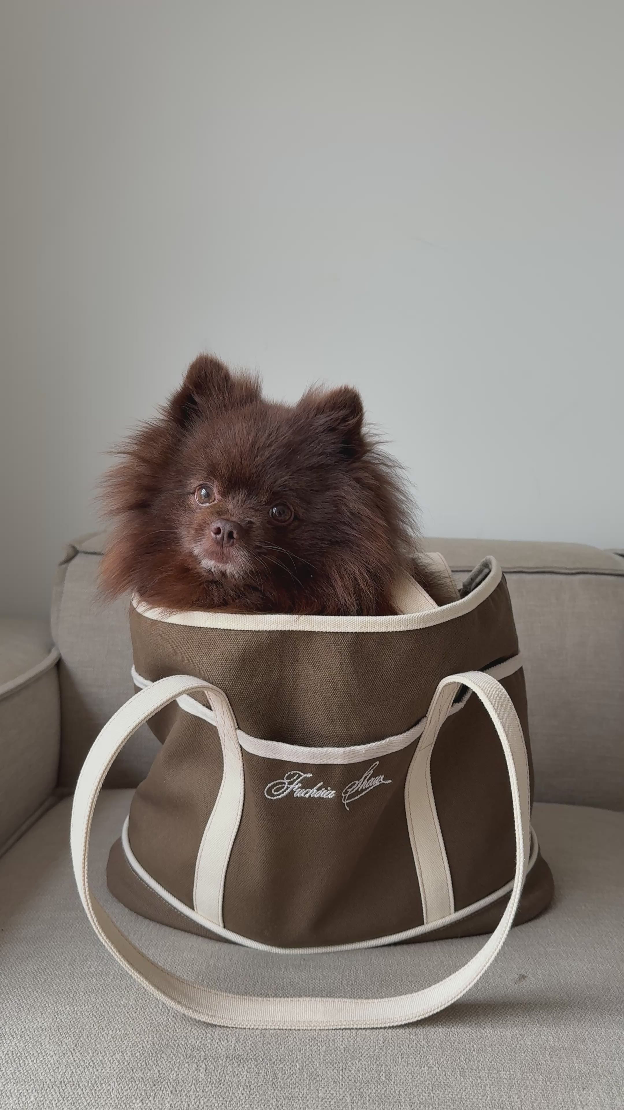 Video of a dog in a tote bag with embroidered "Fuchsia Shaw" barking 